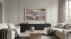 Ornate Silver Deco Frame