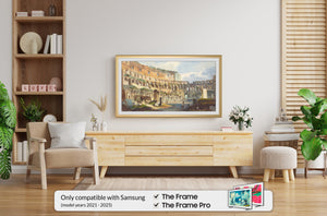 Pale Gold - Alloy Scoop Samsung Frame Bezel