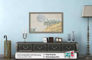 Empire Silver Deco Slim Frame