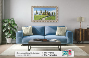 Ornate Silver Deco Frame