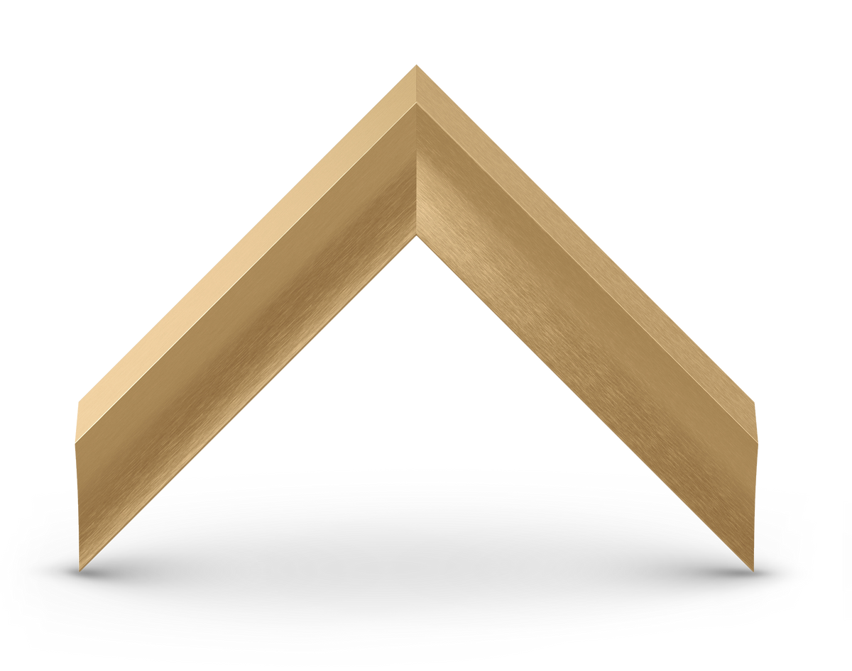 Pale Gold - Alloy Prismatic Samsung Frame Bezel