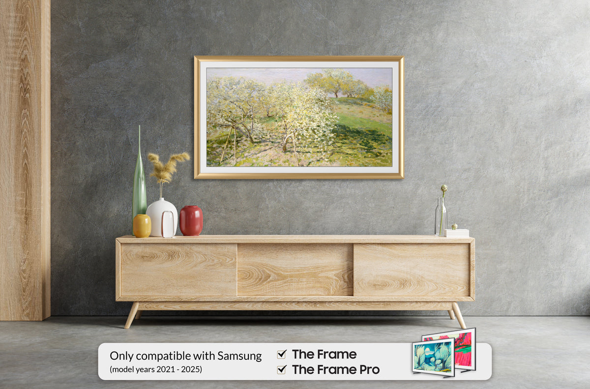 Pale Gold - Alloy Prismatic Samsung Frame Bezel