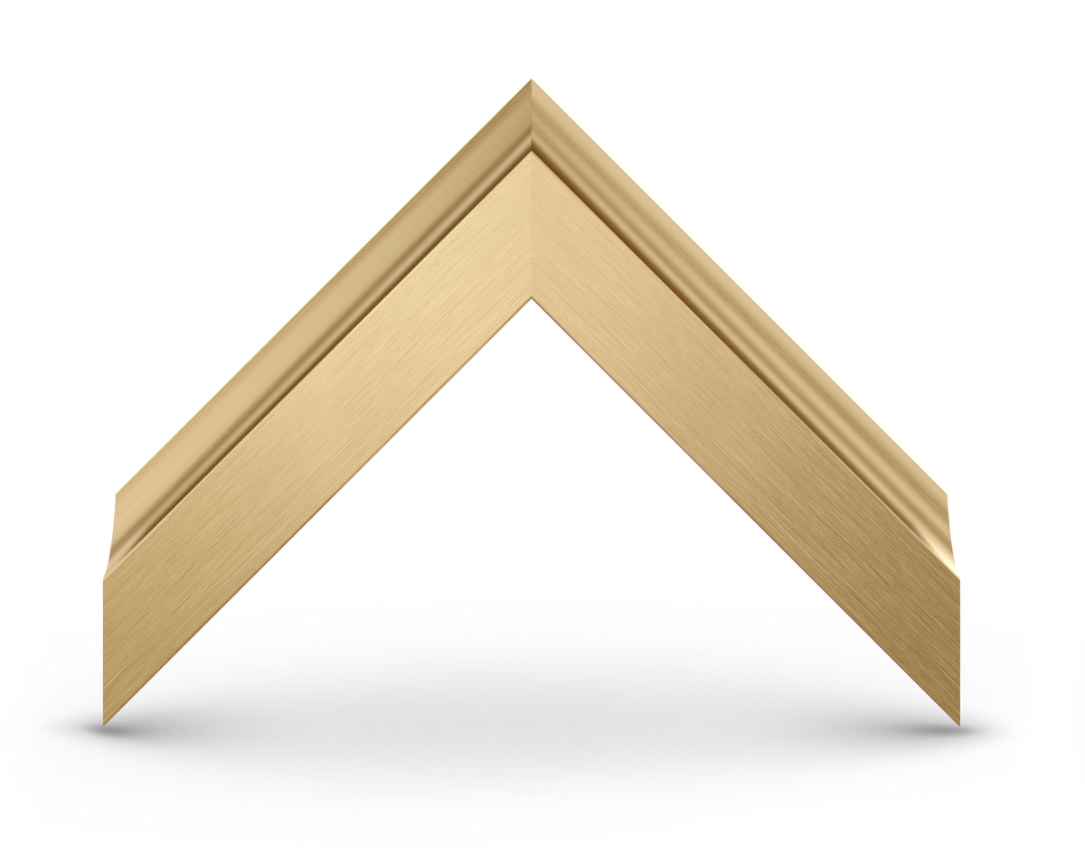 Pale Gold - Alloy Scoop Samsung Frame Bezel