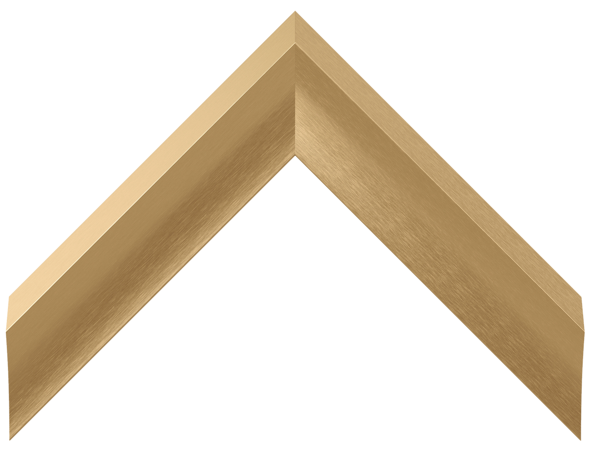 Pale Gold - Alloy Prismatic Samsung Frame Bezel